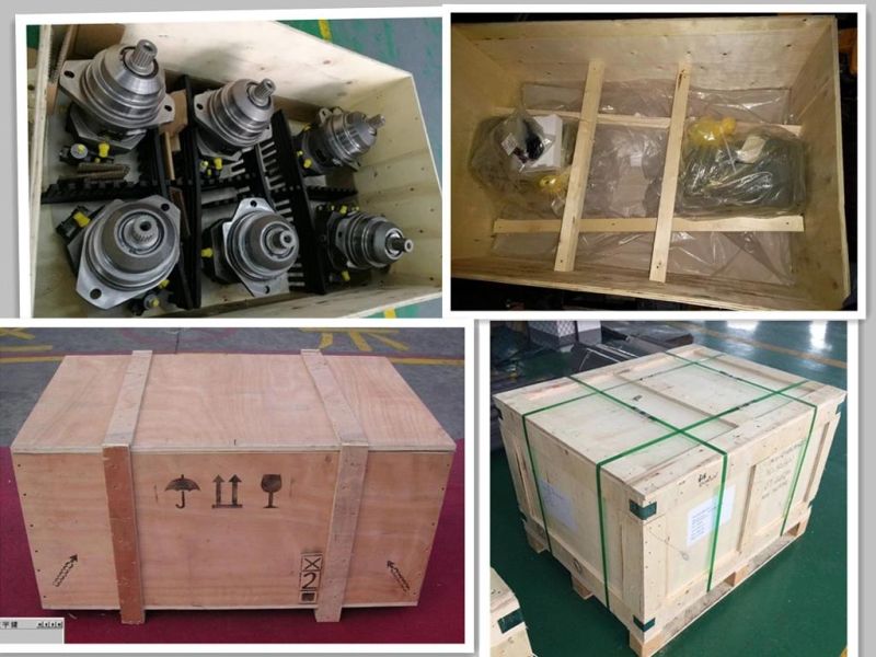 A6vm28 Hydraulic Piston Motor Spare Parts for Excavator Hydr Gear Pumps