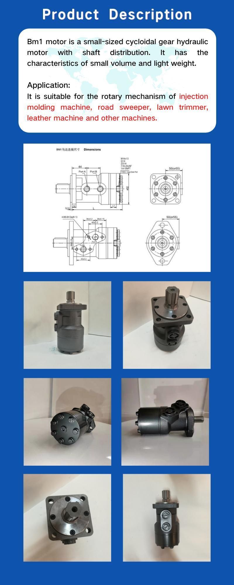 Bm1 Diamond/Square/Rectangle Flange Geroler Radial Swing Motor