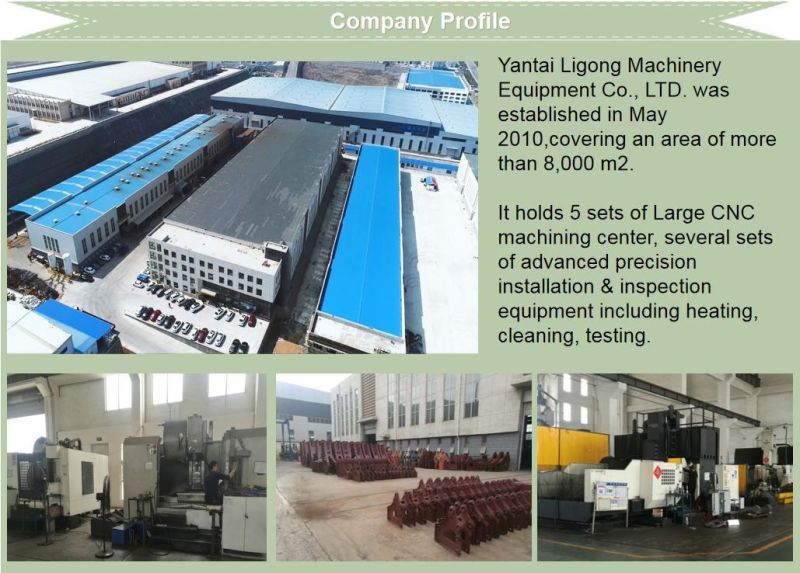 China Best Selling Concrete/Steel Plate Hydraulic Pile Driving Driver Machine for Foundation