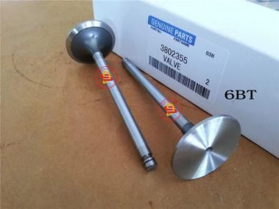 6bt Intake Valve 3802355