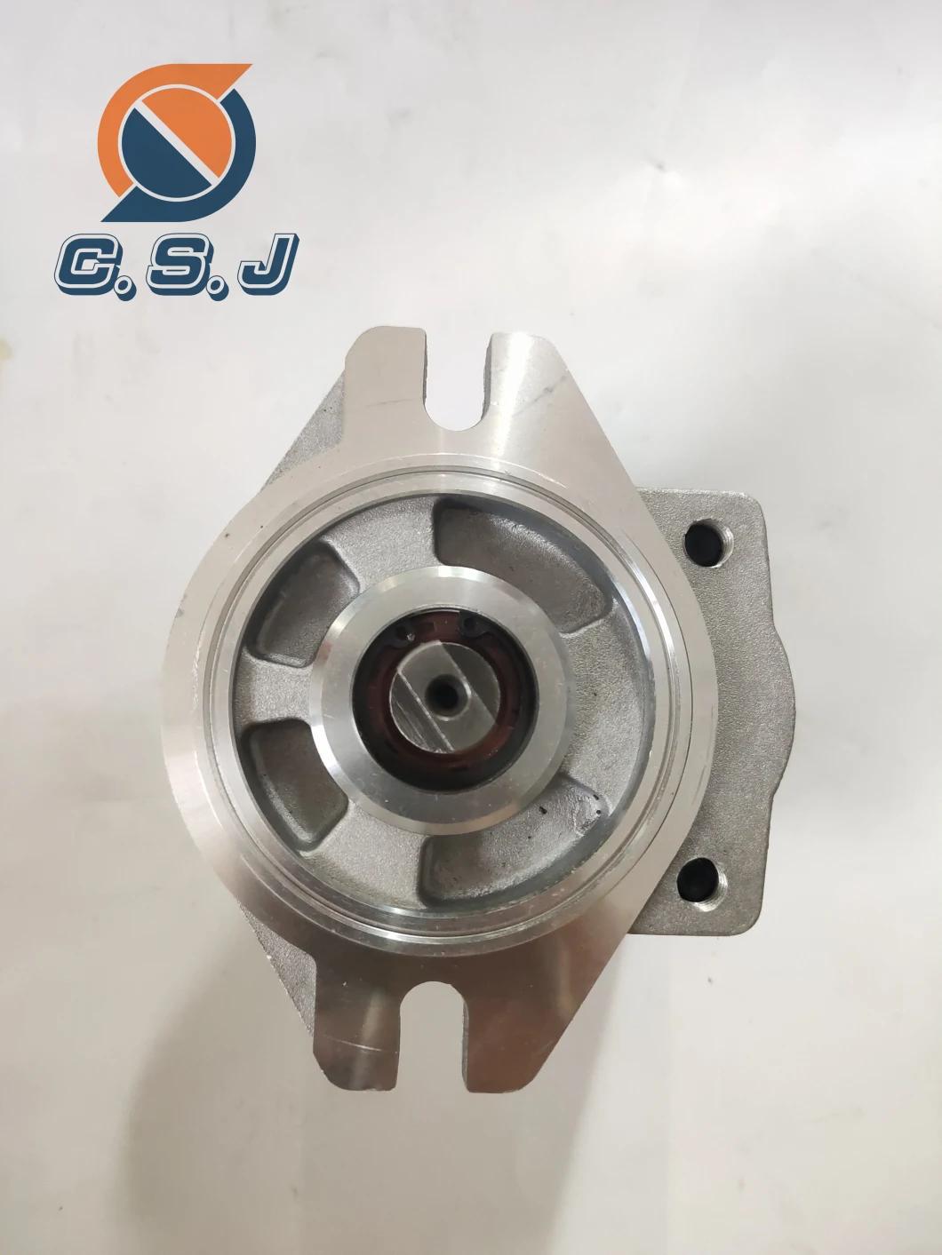 Charge Pump Gear Pump for Caterpillar E320c/Sbs120