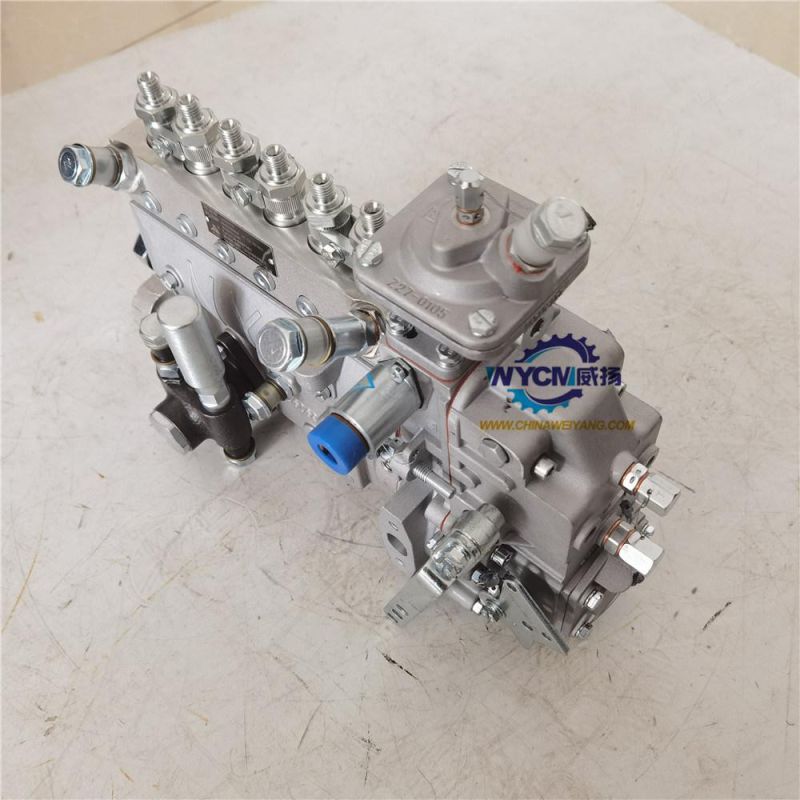 Weichai Engine Parts 13068876 Injection Pump 4110001525046 for Loader LG936L
