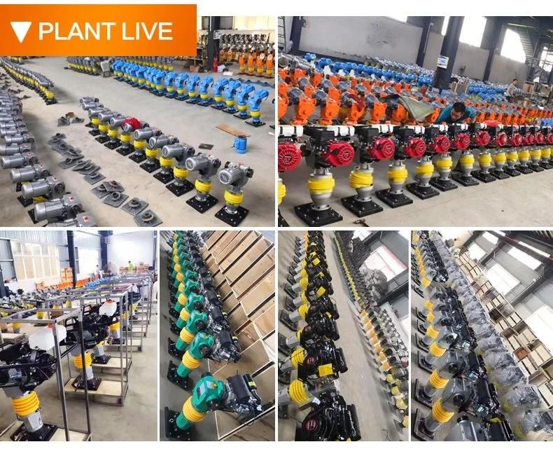 Gasoline Type Tamping Rammer with Best Price