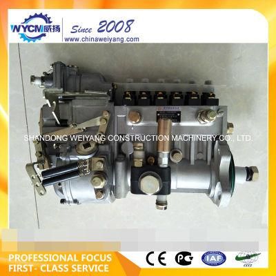 Genuine Weichai 612601080878 Fuel Injection Pump Price for Weichai Wd615 Engine
