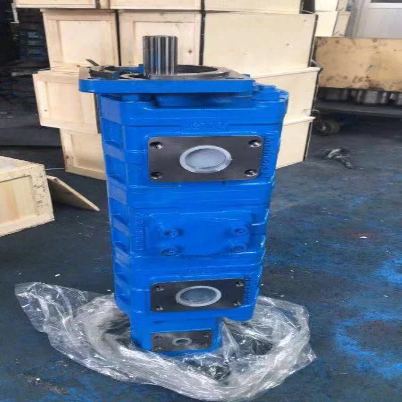 Wholesale Cbj2063/2050/2032 Double Gear Pump Factory Price