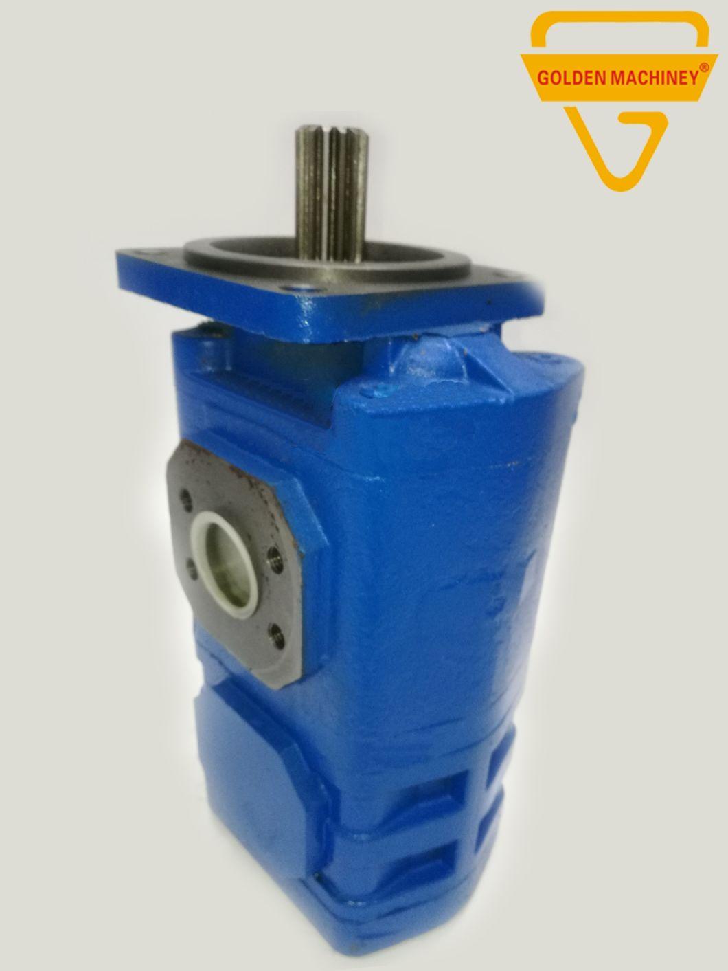 Gk E70 Ms070 S160 Construction Machinery Parts Cbgj Hydraulic Gear Pump Pilot Pump