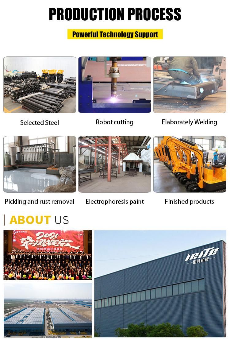 CE EPA Lt 1008 China Portable Mini Digger Hydraulic 800 Kg Micro Mini Bagger Crawler Excavator Hot