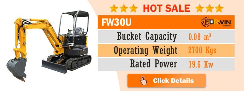 China High Standard 2 T Small Backhoe Digger Fw20u Mini Hydraulic Pump Rubber Crawler Track Excavators Cheap Price for Sale