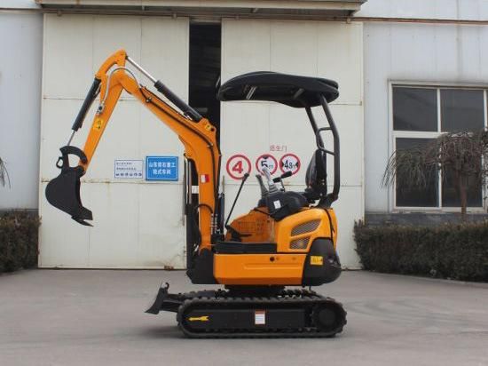 Trenching and Greenhouse Xn20 2 Tons Excavator