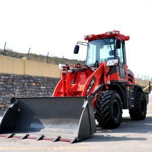 Strong Compact Loader