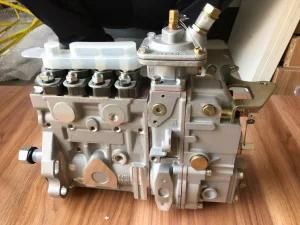 4110002925025 Injector Pump for Wheel Loader