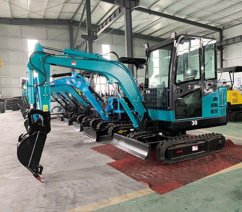 Small Mini Agricultural Crawler Machine with Hydraulic System Excavator