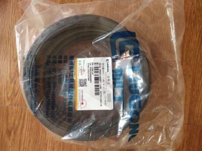 13b0147 Sealing Ring GB9877.2-88; W170&times; 200&times; 15