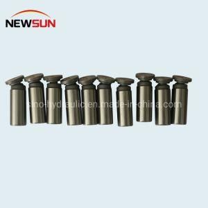 Pvsd2-21e Series Hydraulic Pump Parts for Excavator E304 E303c PVD2-19 Piston Shoe