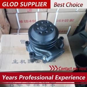 Water Pump for Chinese Weifang Engine 495 4100 4105 Series Generator Parts