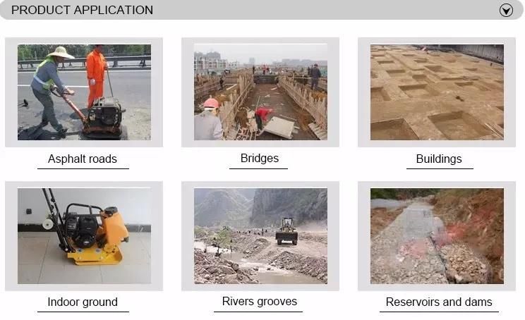 Construction Machine Gasoline Vibratory Plate Compactor