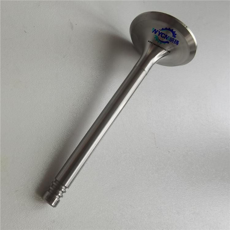 Weichai Exhaust Valve 12159608 for Wp6g Td226b Engine
