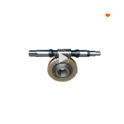 Steel Gjj Construction Hoist Spare Parts Worm and Worm Wheel