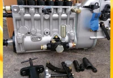 Sdlg Wheel Loader LG953 LG956L LG953n LG952 4110001016014 Injection Pump 612601080878 for Sale