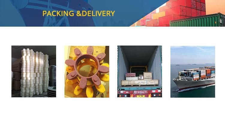 Rubber Coupling for Gjj Construction Hoist Elevator
