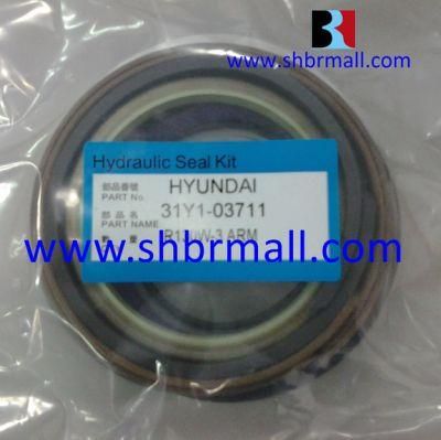 Hydraulic Arm &amp; Boom &amp; Bucket Cylinder Seal Kits for R130W-3 Hyundai Excavator/31y1-03711/31y1-03861