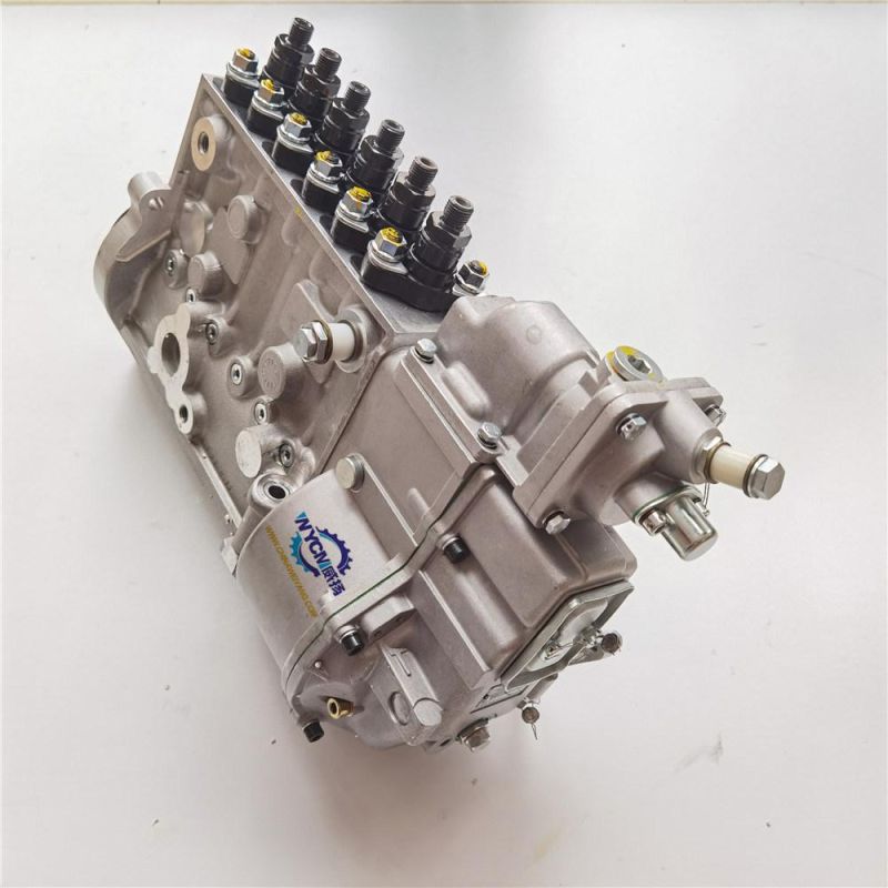 Shanghai Diesel Engine Spare Parts Cp10z-P10z022+a Fuel Injection Pump for Sale