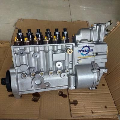 High Quality Fuel Injection Pump P10z002 for Shang Chai C6121 Engine