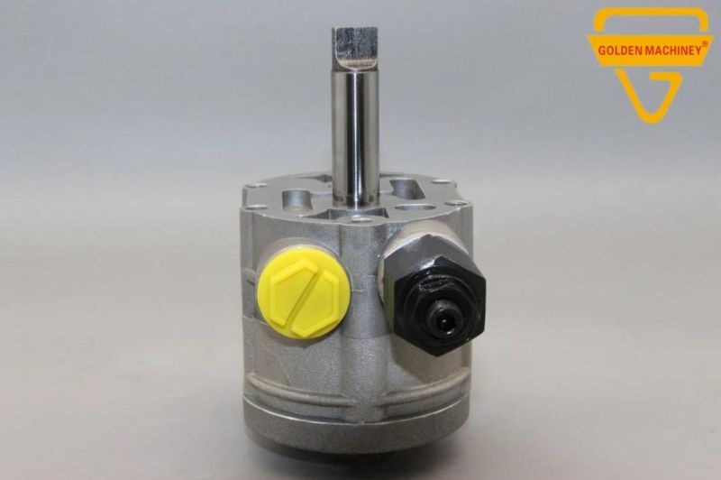 Gk Road Roller Part PV22 Spv22 Mf22 Hydraulic Gear Pump Pilo Pump Excavator Charge Pump