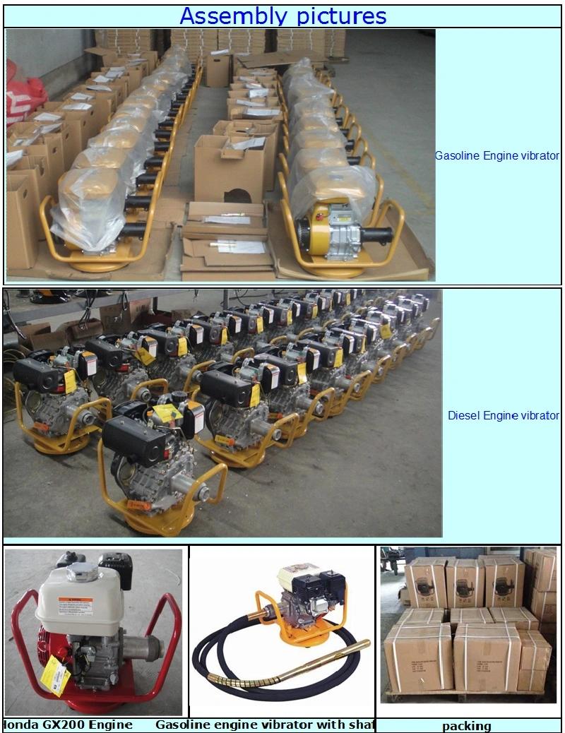 Hot Sale Petrol Engine Vibrator (RB-20)