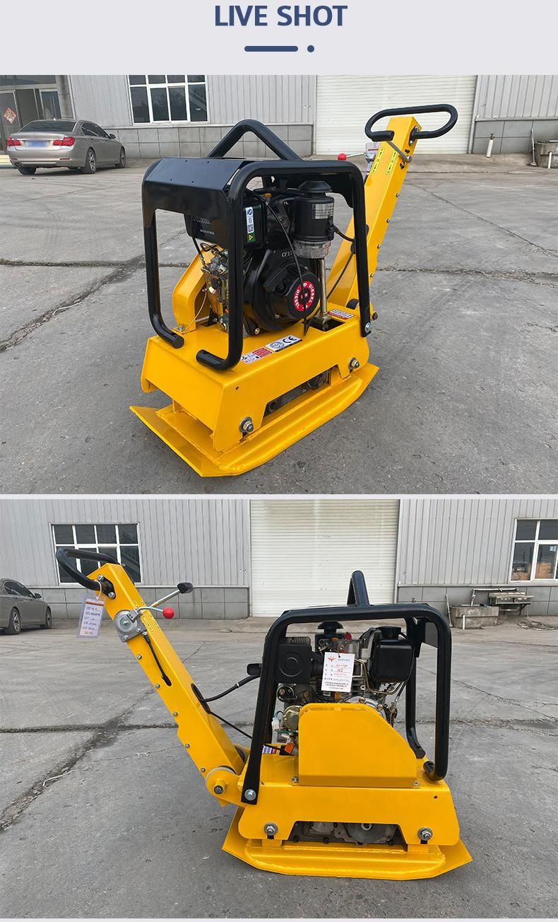 Gasoline Compactor Plate Hzr160