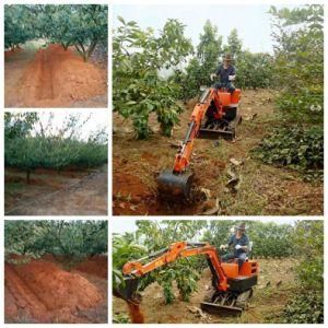 Best Price Mini Crawler Excavator with Diesel Engine