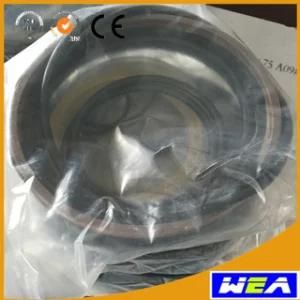 Changlin Machinery Spare Parts Seal Kit Cylinder Lift P-203-01-105