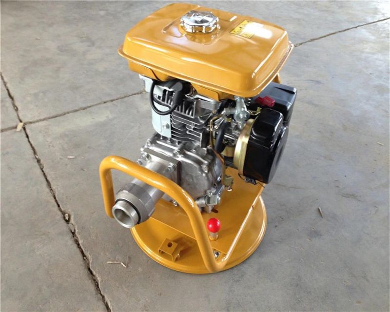 5.5kw Robin Engine Ey20 Gasoline Concrete Vibrator