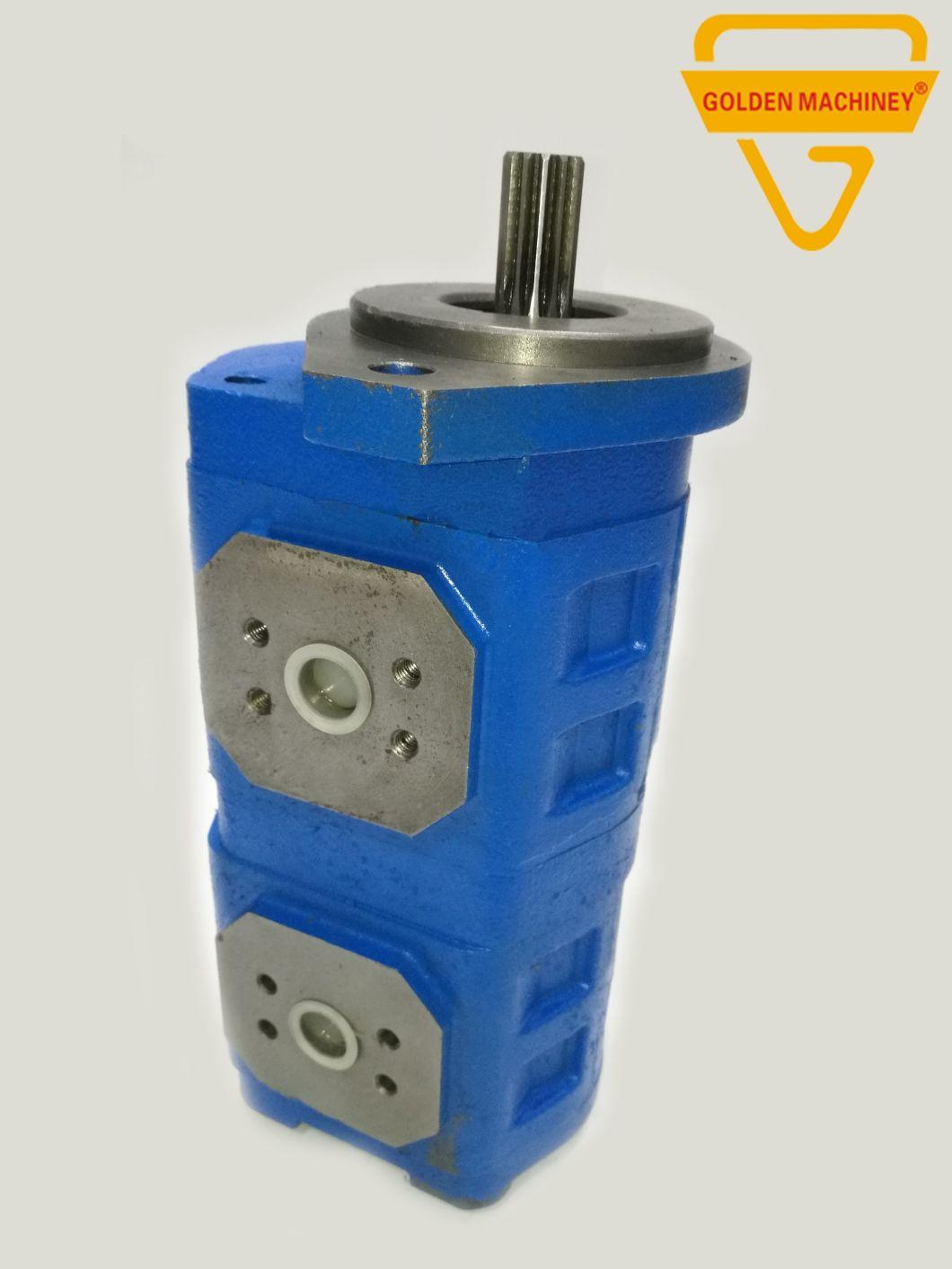 Gk E70 Ms070 S160 Construction Machinery Parts Cbgj Hydraulic Gear Pump Pilot Pump