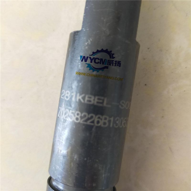 Fuel Injector Assembly 13053066 for Weichai Deutz Engine for Sale
