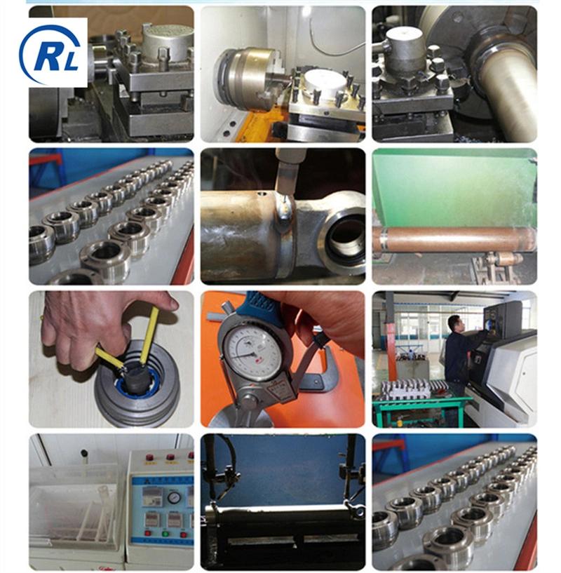 Qingdao Customize Double Action / Single Action Piston Hydraulic Cylinder for Farm Implements