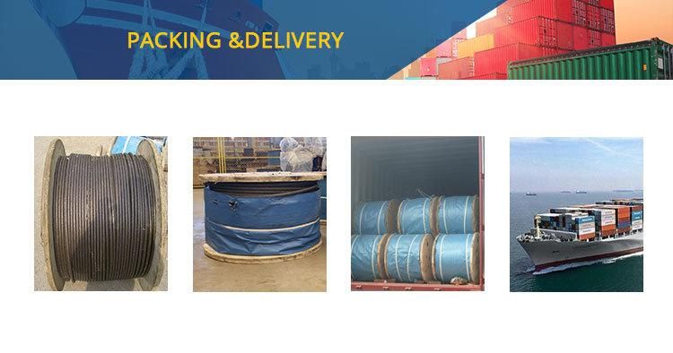 35W*7 Tower Crane Stainless Steel Wire Rope 14mm for Hoist Mechanism