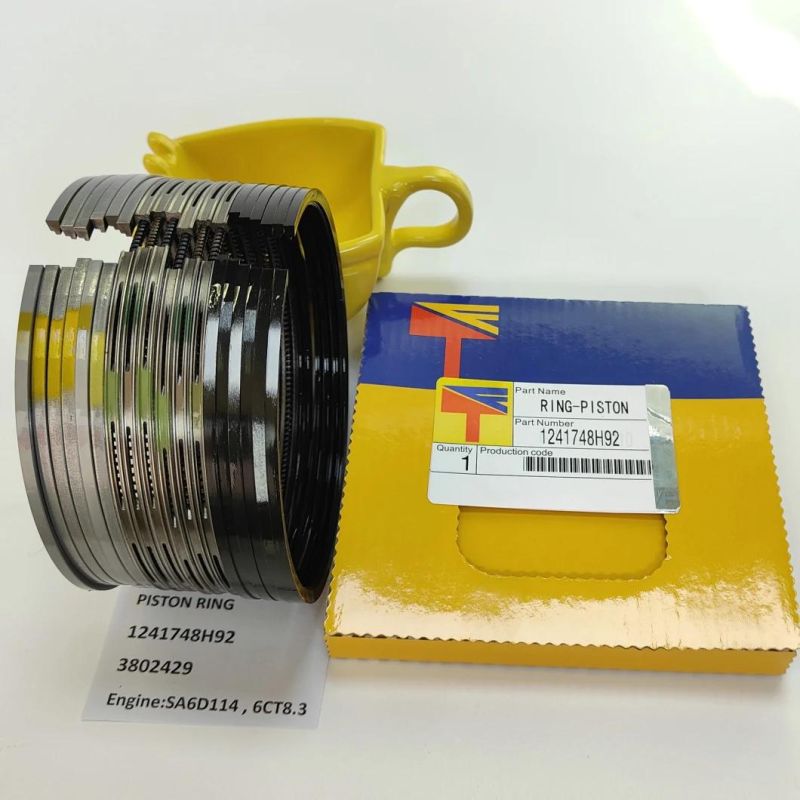 High Quality Diesel Engine Mechanical Parts Piston Ring 1241748h92 3802429 for Excavator PC300-7 PC360-7 Wheel Loaders Wa380-3 Engine S6d114 6CT8.3