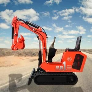 Rhinoceros Hot Sale Brand New Xn10 Mini Crawler Excavator From China