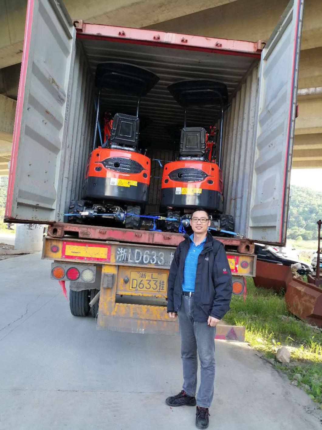 Construction Project Lonking Mini Excavator with Yanmer Engine