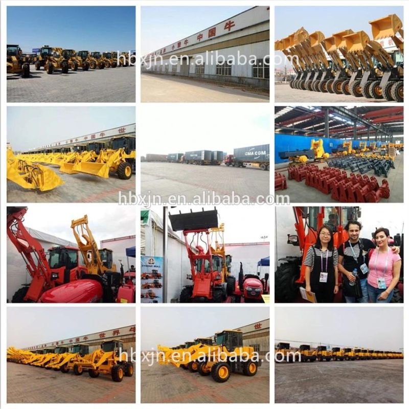 Mini 800/1200kg Zl08/Zl12 Grass Tires/Tubeless Tyres Garden Wheel Loader for Sale