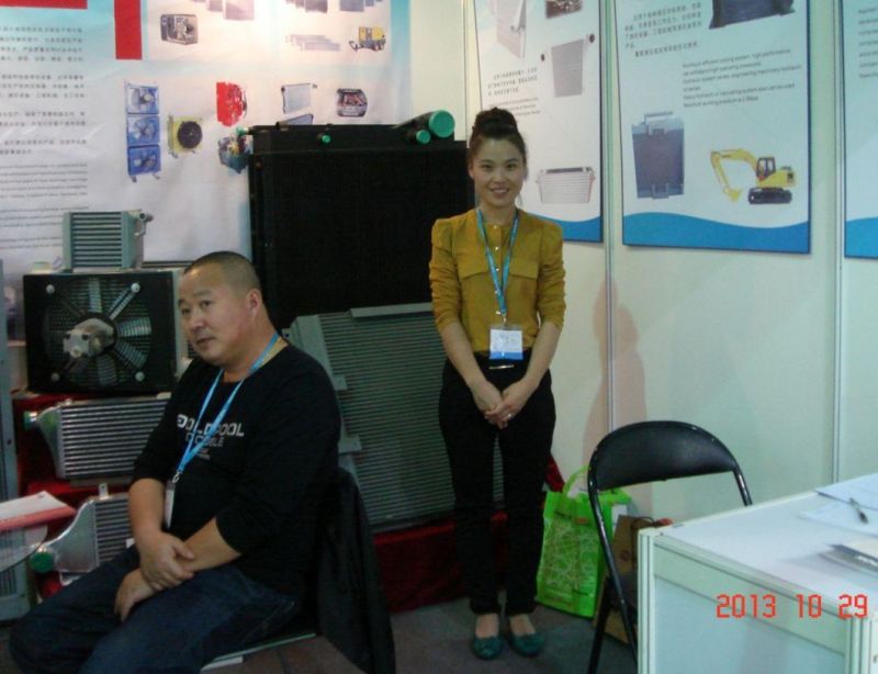 Auto Car Radiator Manufacture