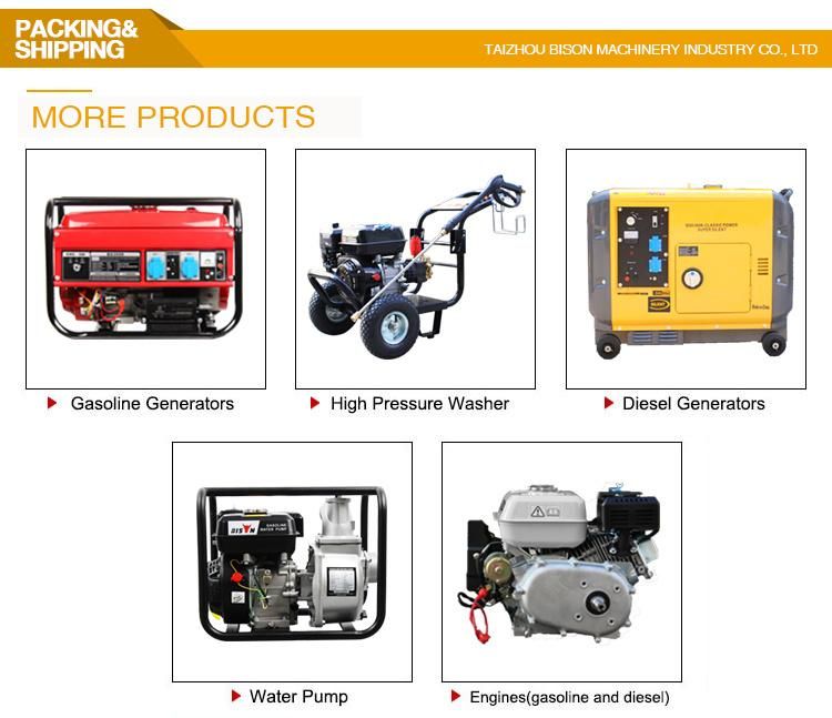 Bison Pme-RM80 3.6kw Petrol Engine Tamping Rammer for Construction Works