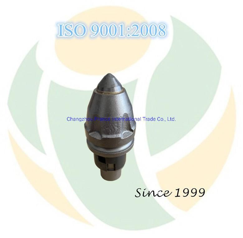 Auger Teeth China Bullet Teeth Rock Bits (CP3055L/25C) for Rotary Drilling