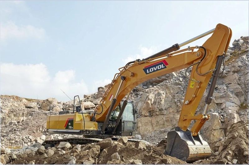 China Heavy Duty 26ton Excavator Fr260d with Good Price