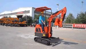 Xn12 Rhinoceros Order Models Mini Excavator Promotion Products