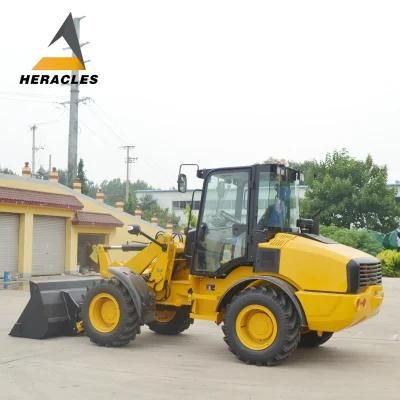 China Wheel Loader with Parts