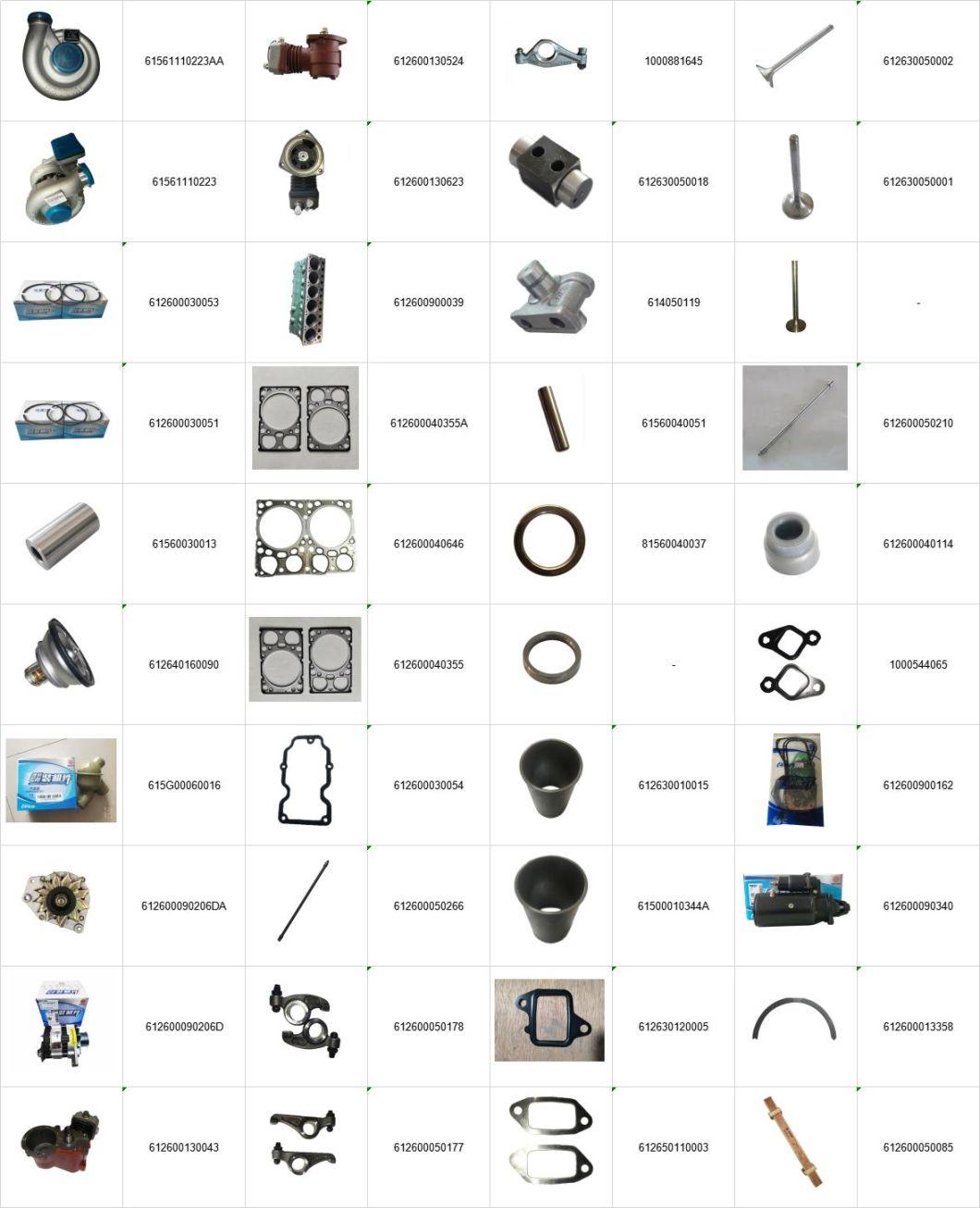 Wei Chai Diesel Engine Parts for Truck with Water Pump and Oil Filter