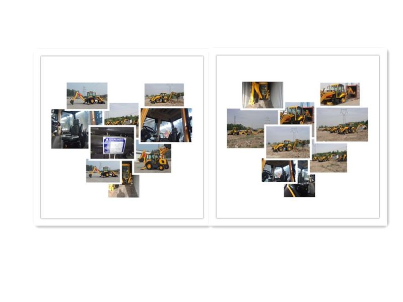 Technical Consultation on Backhoe Diesel Engine of Ztw30-25 Agricultural Loader