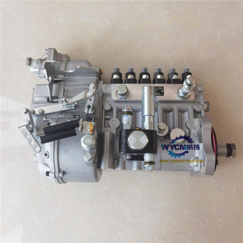 Longbeng Fuel Injection Pump BHT6p120r 612601080878 4110001016014 for Loader L956f
